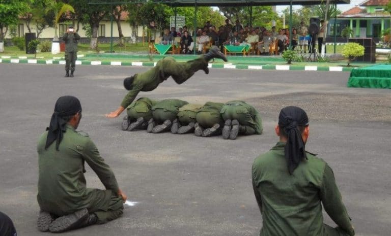 √ Lompat Harimau : Pengertian, Teknik Dasar Dan Manfaat (Lengkap)